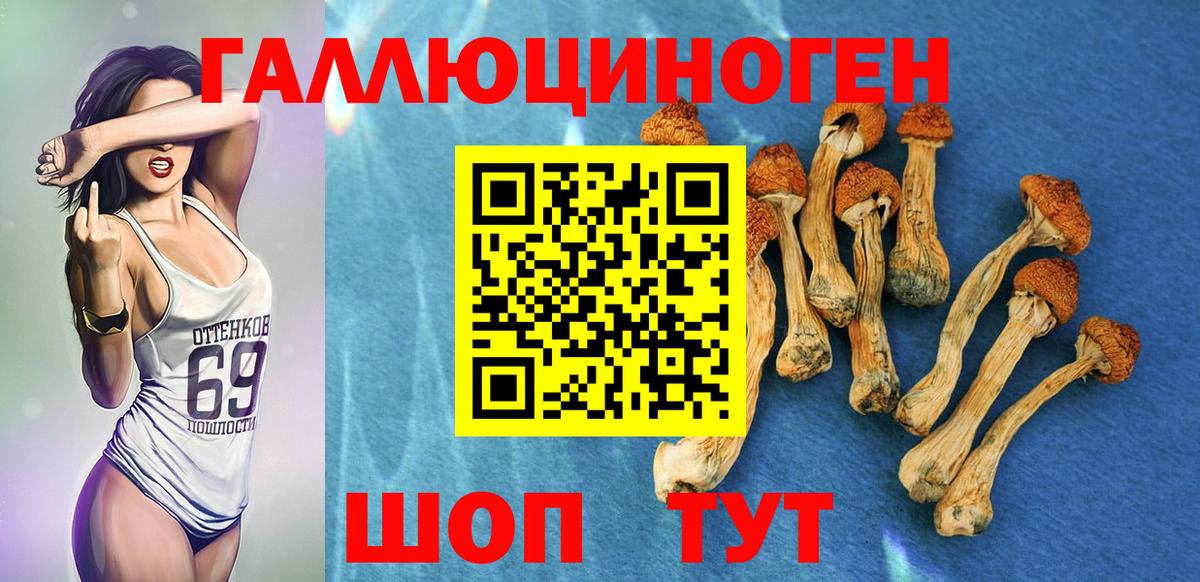 Псилоцибиновые грибы GOLDEN TEACHER Пермь